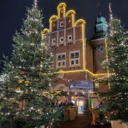 Erster Vereinsbesuch auf dem Meppener Weihnachtsmarkt Bild 1