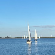 Ausbilderregatta mit ehemaligen Schülern Bild 6